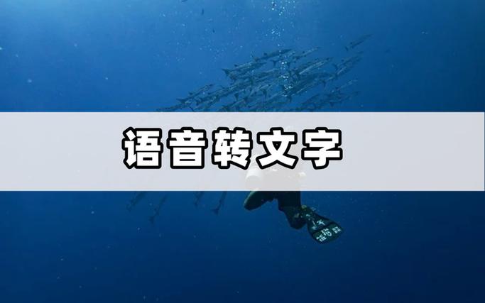怎么设置语音不转换文字