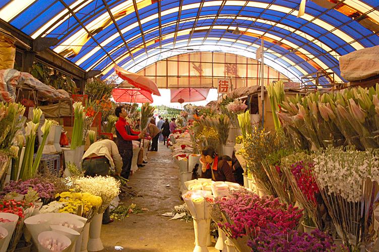 附近的花卉市场在哪个位置图标