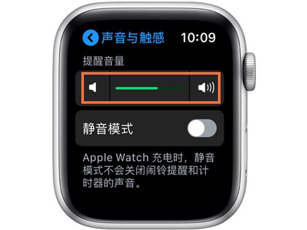 苹果手表外放声音怎么调节