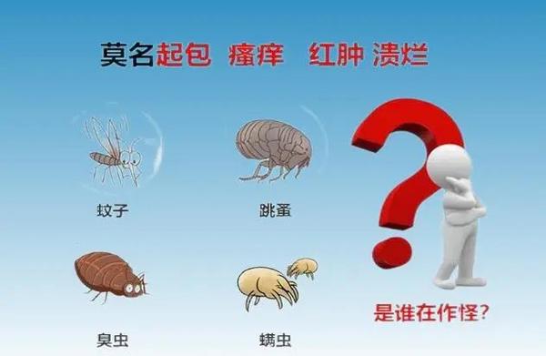 酒店被虫咬要赔5000还是一千
