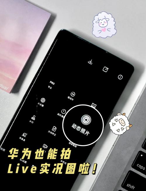 华为手机相机的慢动作在哪里