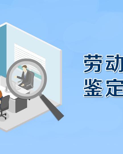 《劳动能力鉴定标准》