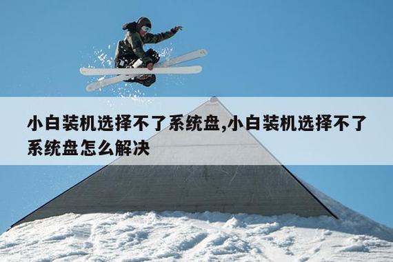 小白装机没有找到任何硬盘