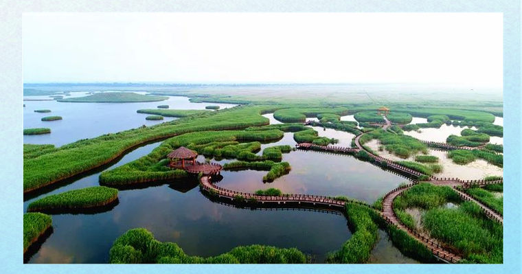 恢复湿地的措施