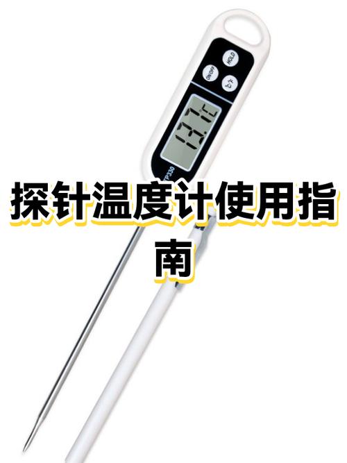 探针温度计哪个牌子好
