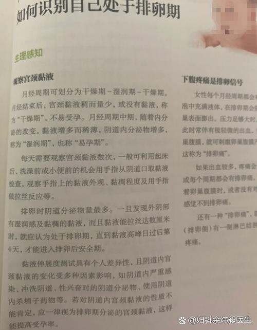 排卵期肚子疼怎么回事
