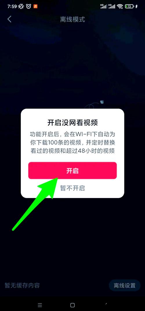 ipad爱奇艺离线视频存哪了