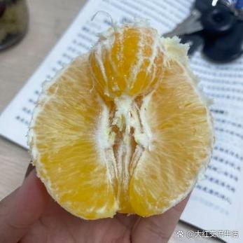 很小的橙子