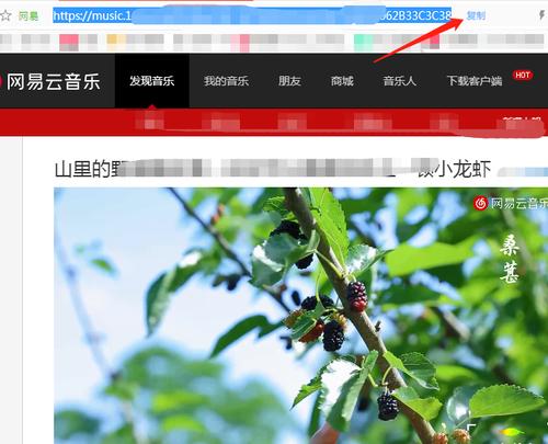 网易云mv怎么保存到手机