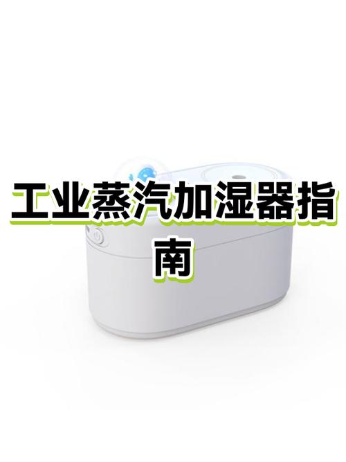 加湿器买什么类型的好