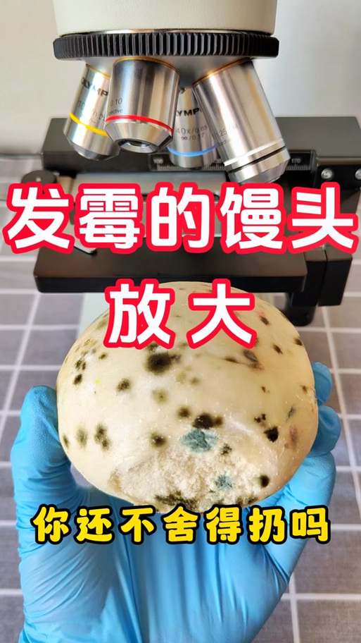 这是馒头,这是放大镜看馒头什么意思