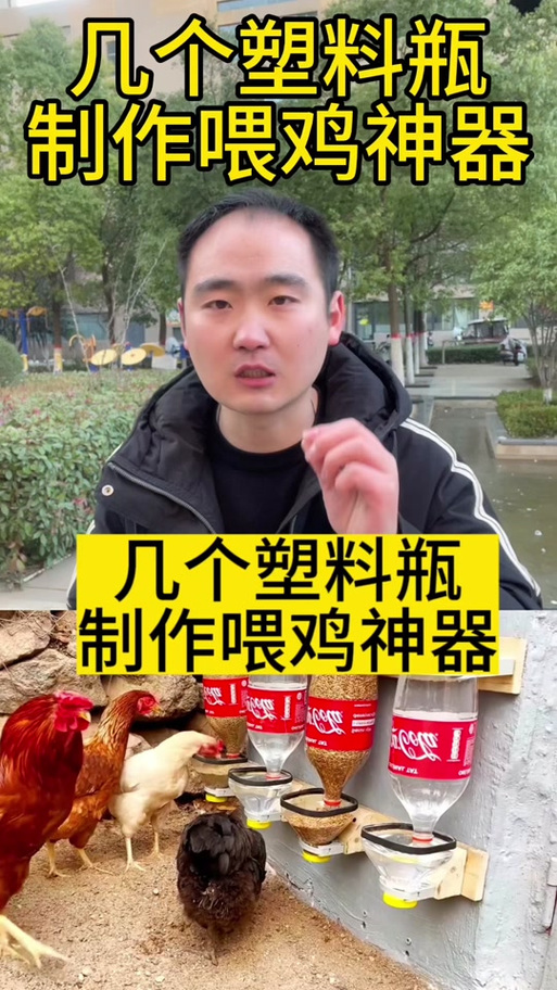 喂鸡的神器是什么