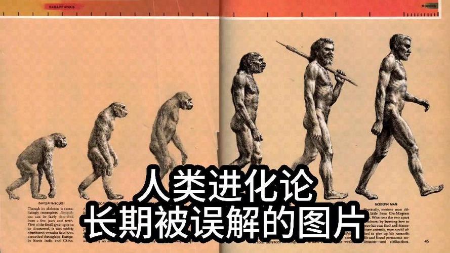完美人类进化论结局什么意思