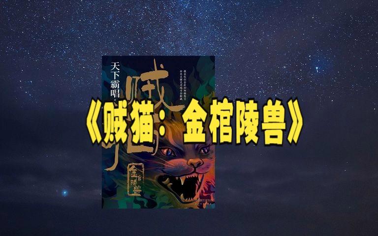 贼猫小说