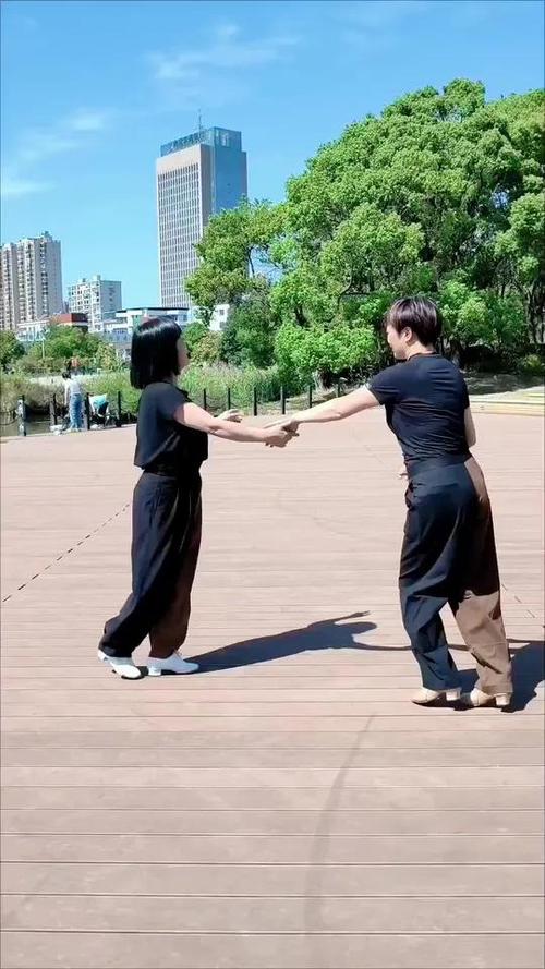 双人恰恰广场舞视频大全