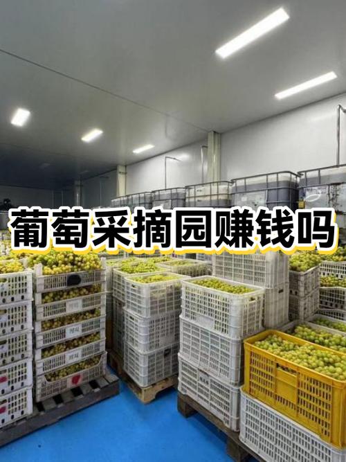 开果园赚钱吗