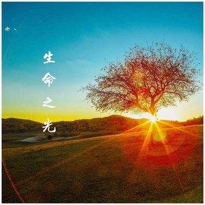 生命之光石头图片