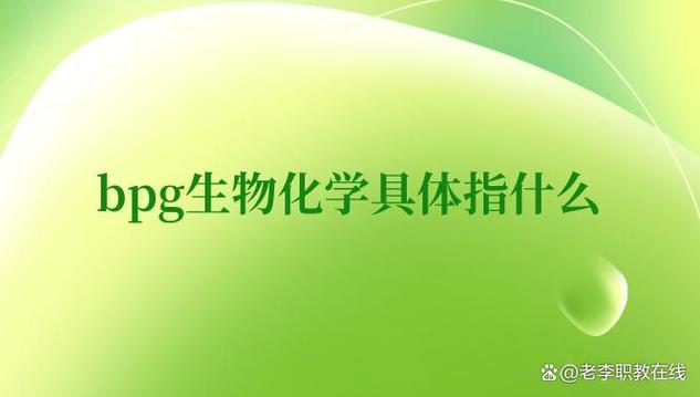 BPG是什么简称