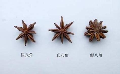 八角有没有十个角的