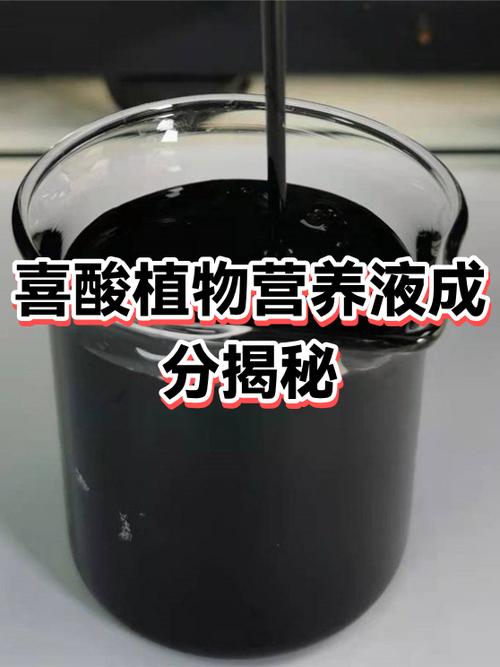 植物是怎么吸收营养的