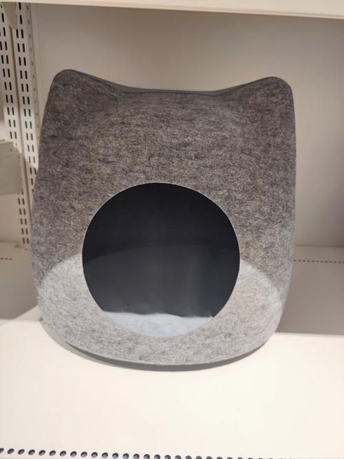 猫生小猫准备什么用品
