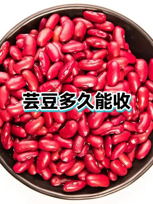 芸豆花有谁协商成功过了吗