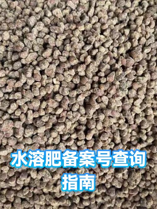 肥料备案号查询入口