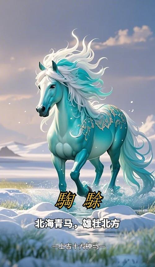 什么叫神马