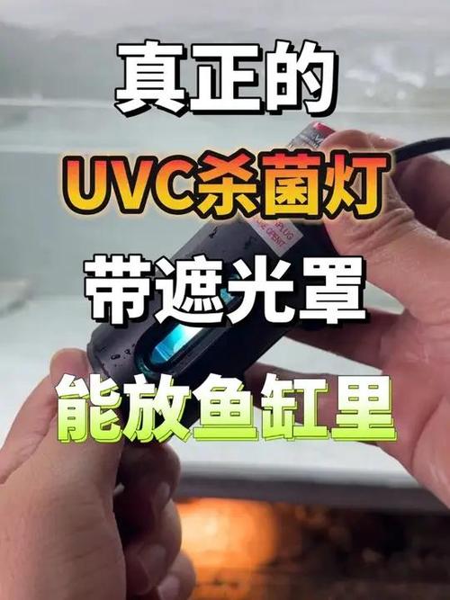 杀菌灯可以直接放鱼缸里吗