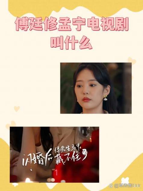 苏家四兄弟共一妻的小说