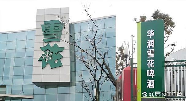 雪花北京科技有限公司
