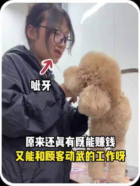 养狗挣钱