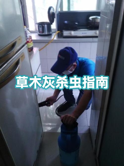 杀虫公司的收费标准