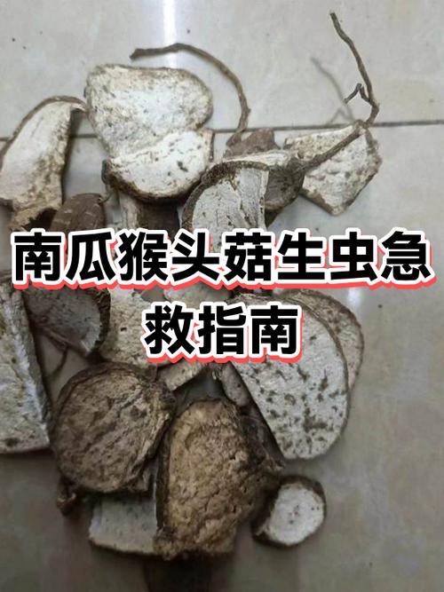 蘑菇虫子处理方法