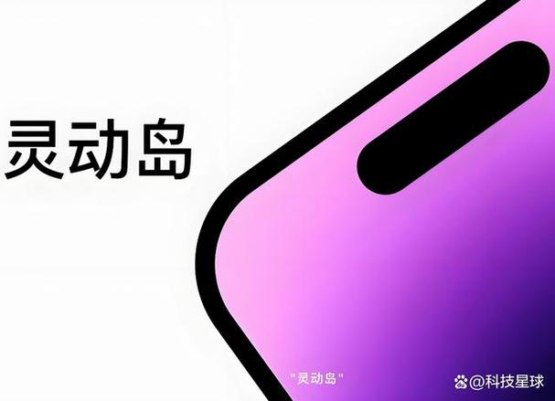 灵动岛和普通屏的区别