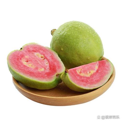 一共有多少种水果