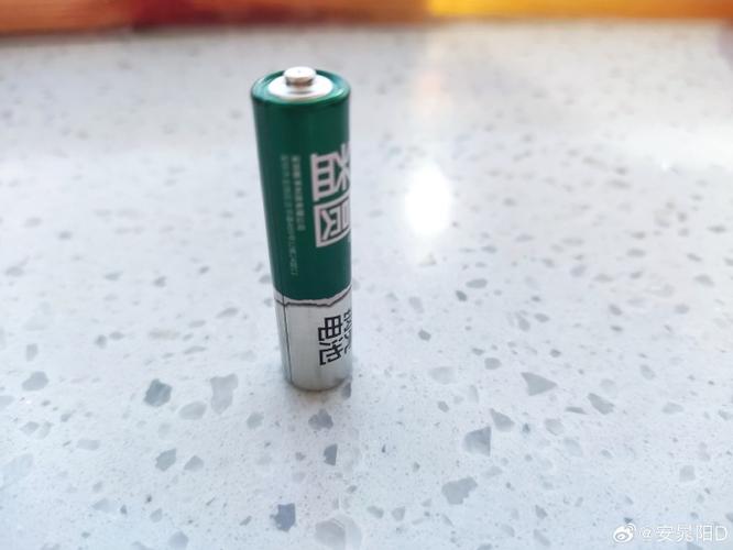 电视遥控器用什么牌子的电池