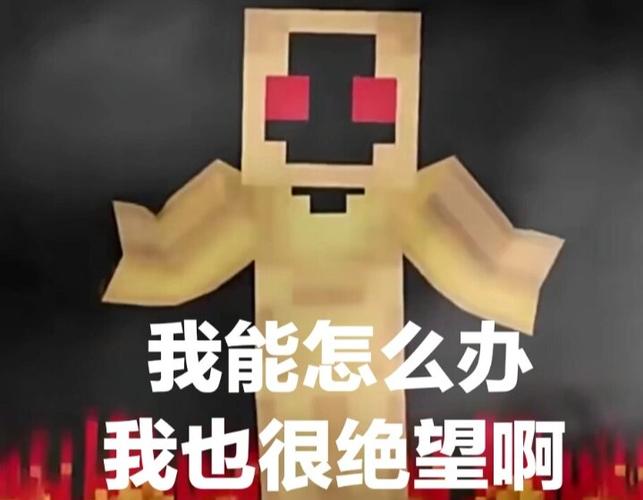 我的世界生物表情模组
