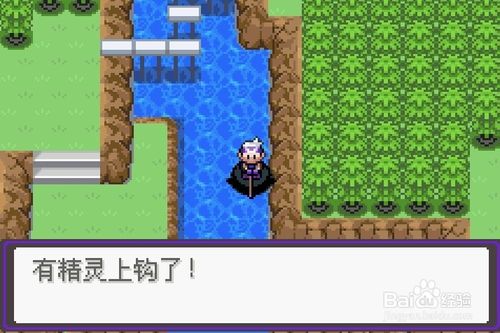 漆黑的魅影5.0笨笨鱼在哪抓