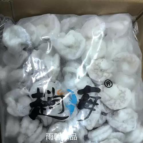 精品开背海