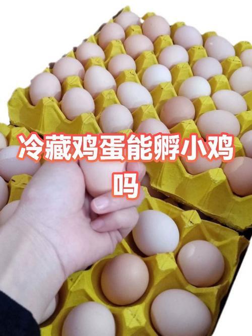 冰块小鸡砸鸡蛋的游戏