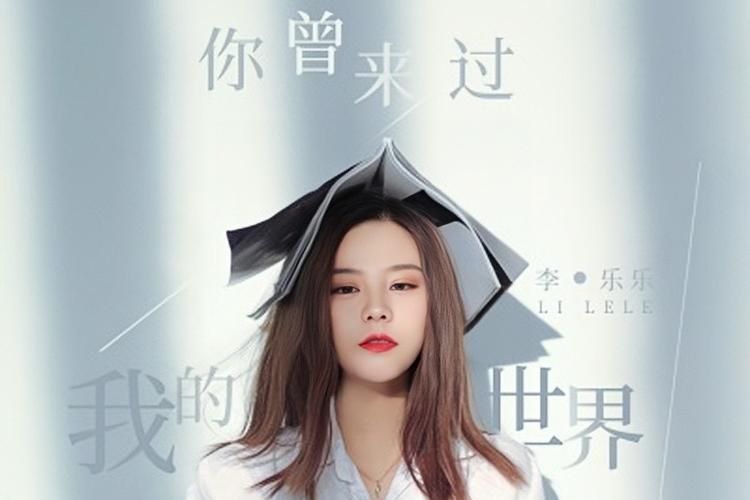 歌词里有我的世界你曾经来过