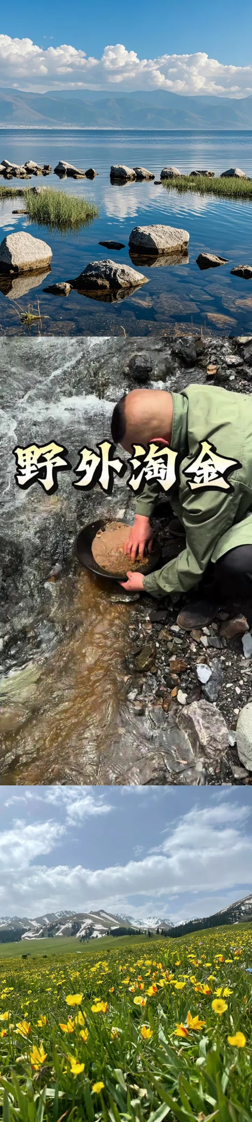 淘金视频最新版
