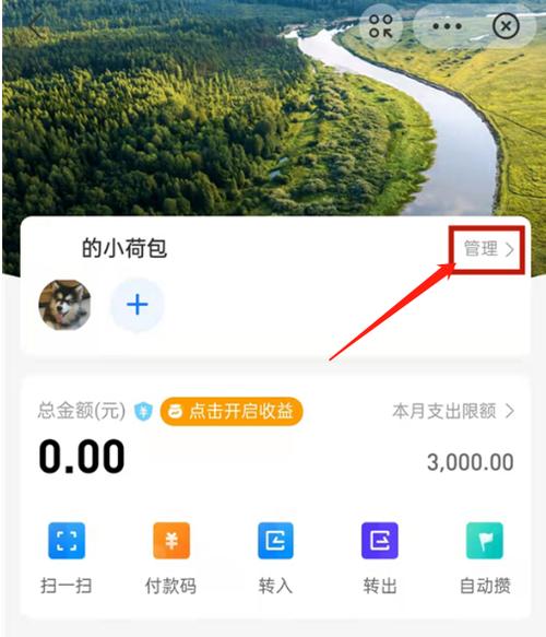 如何提高支付宝支付限额