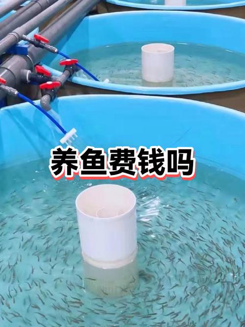 养鱼 论坛