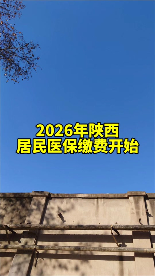 陕西医保2026缴费入口