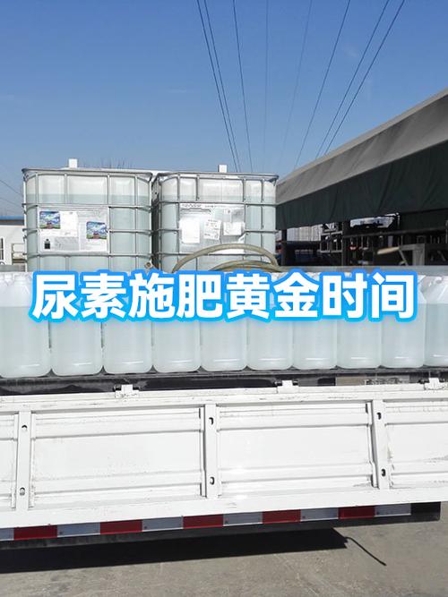 尿素的正确施肥方法