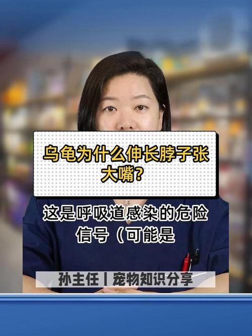 乌龟伸脖子张嘴叫咋回事