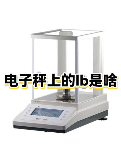 电子秤显示lb什么意思缩略图