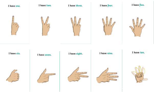 数字手指歌1-10